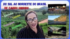 Do Sul ao Nordeste do Brasil de Carro Híbrido: Estradas, Cidades, Paisagens e Economia – Parte 1.